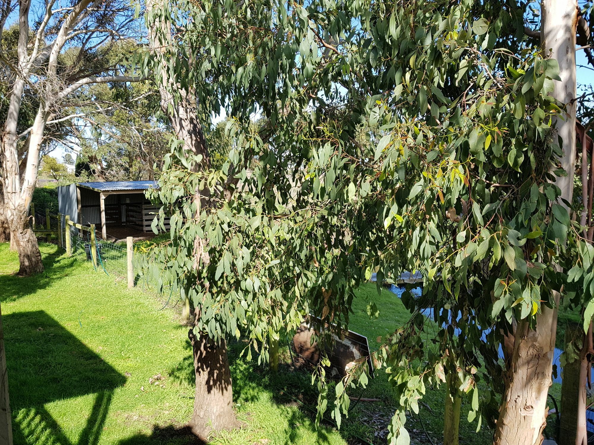 Clonmara Country House And Cottages Port Fairy Exterior photo